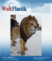 Lionn