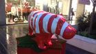 Hippo_lines