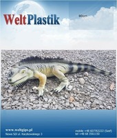 Iguana